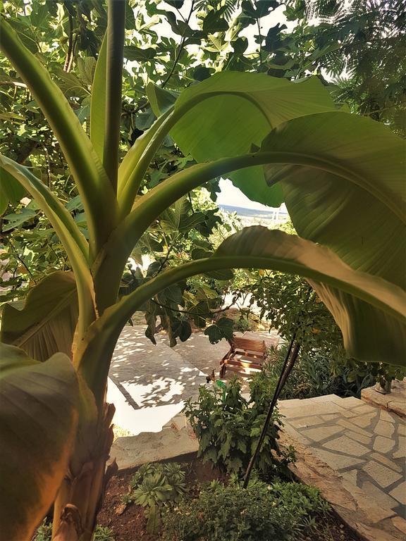 Apartments Villa Marija Горни Карин Екстериор снимка